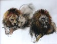 Frans Verpalen - Drie Leeuwen -Krijt op papier