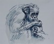 Frans Verpalen - Chimpansee met jong - Inkt op papier