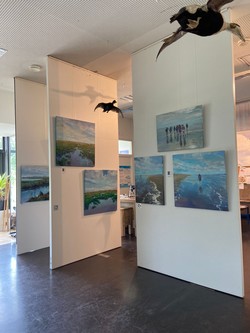 Expositie Bezoekerscentrum Pieterburen 